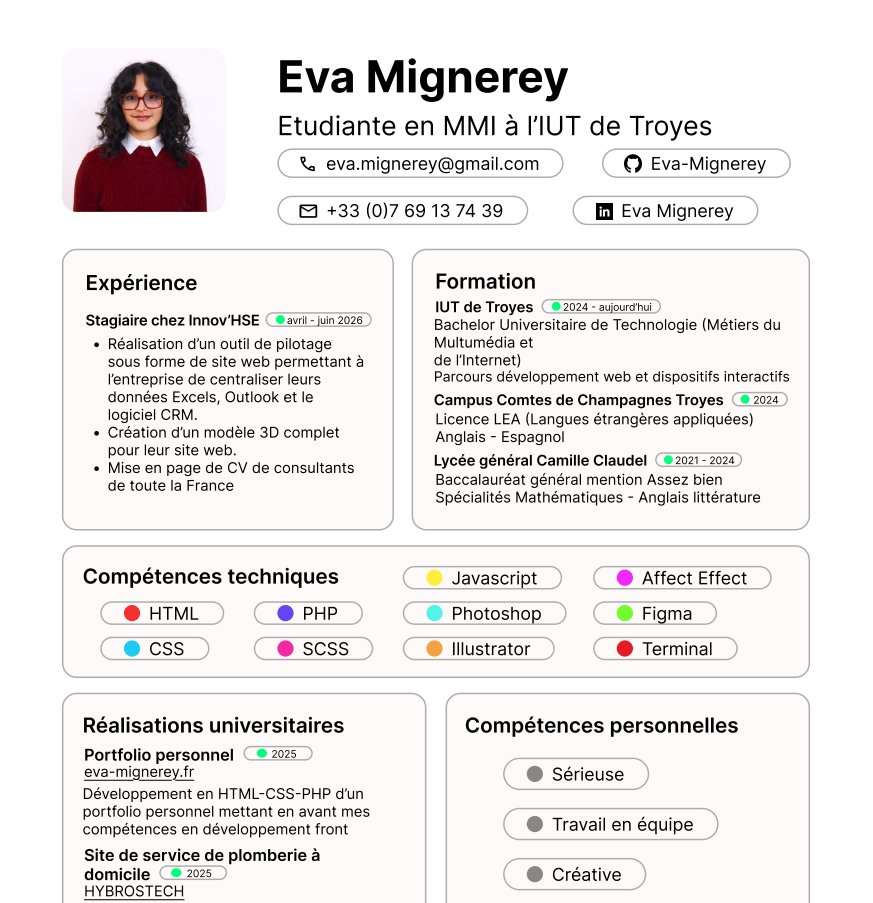 Aperçu de mon CV